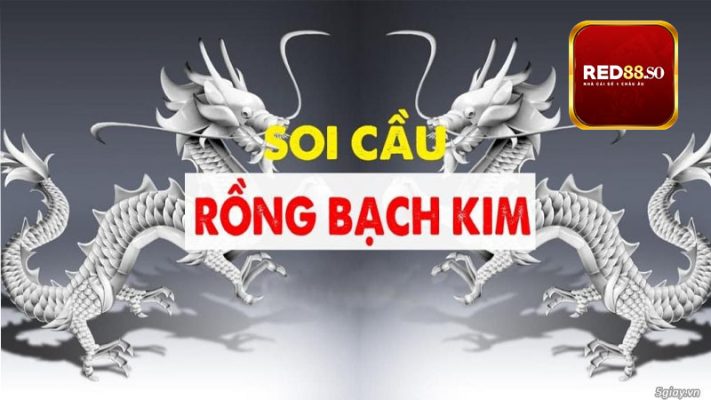 Soi cầu Rồng Bạch Kim là gì?