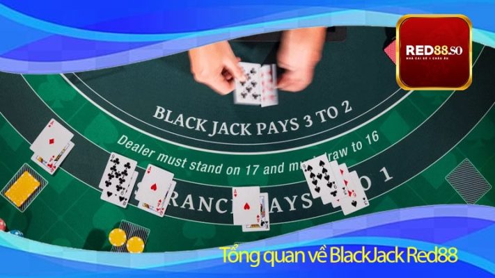 Tổng quan về BlackJack Red88