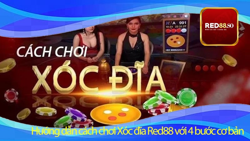 Hướng dẫn cách chơi Xóc đĩa Red88 với 4 bước cơ bản